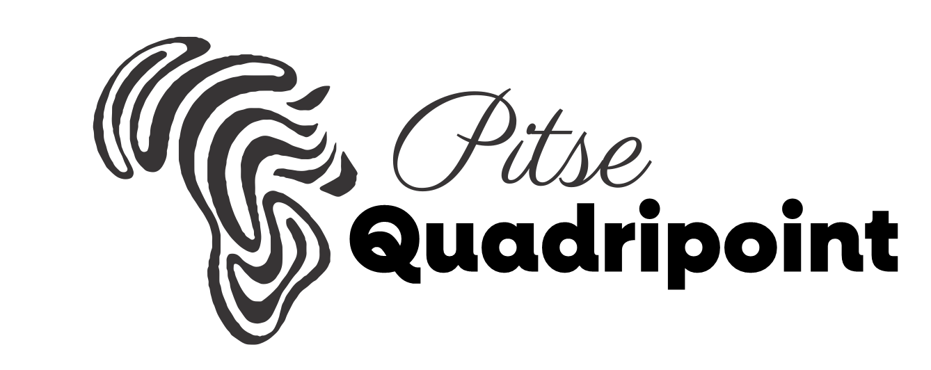 pitse logo